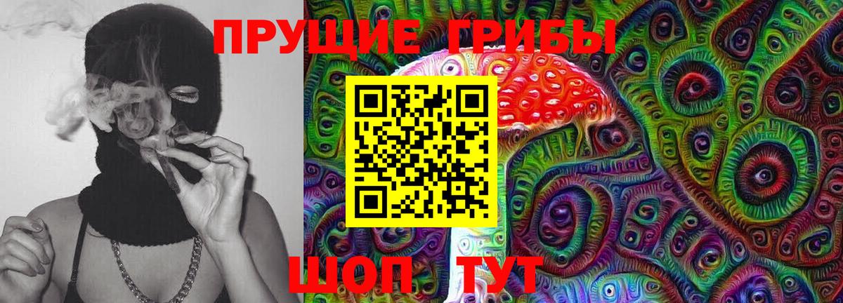 Псилоцибиновые грибы Cubensis Бийск